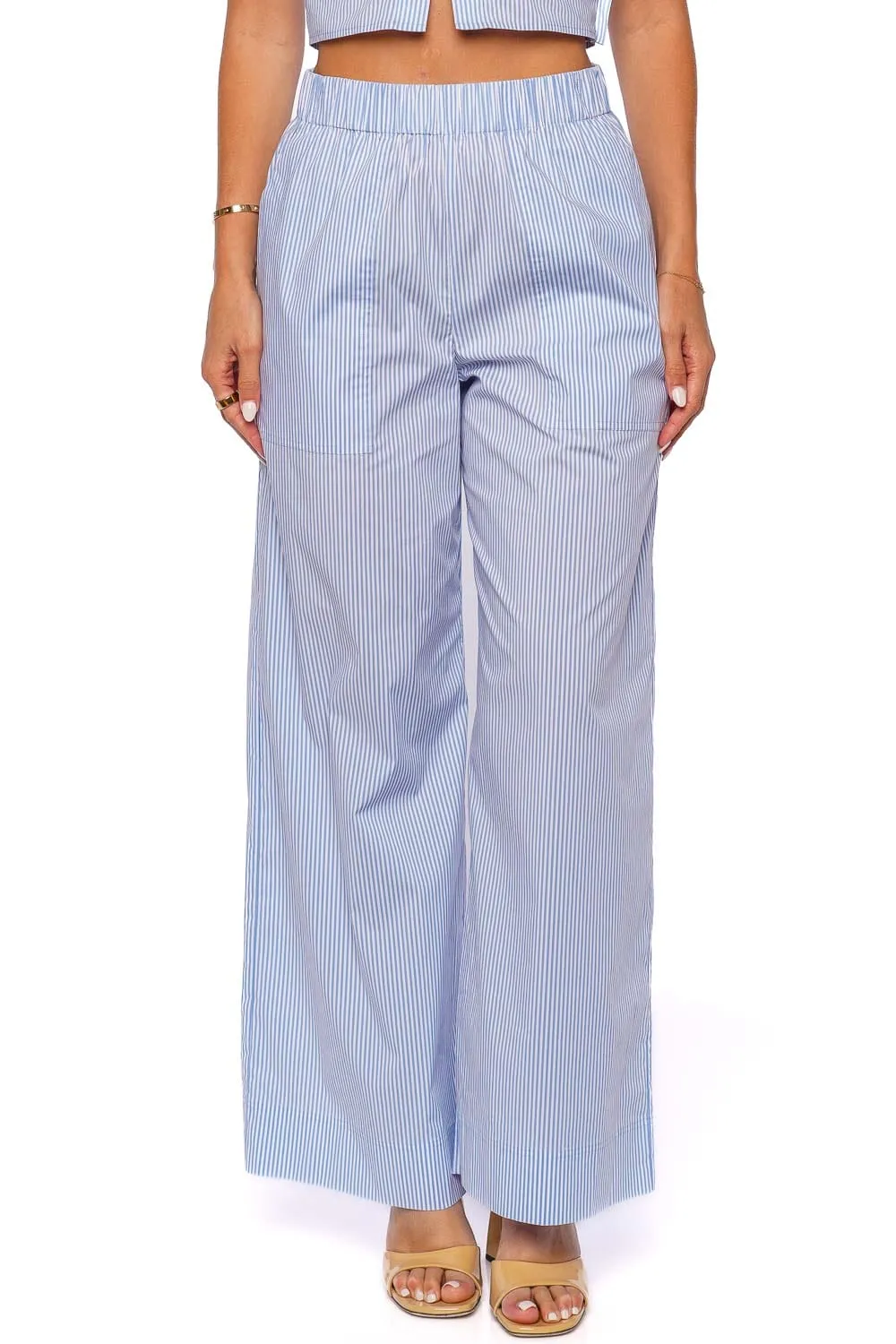 Arden Blue Striped Wide Leg Pant