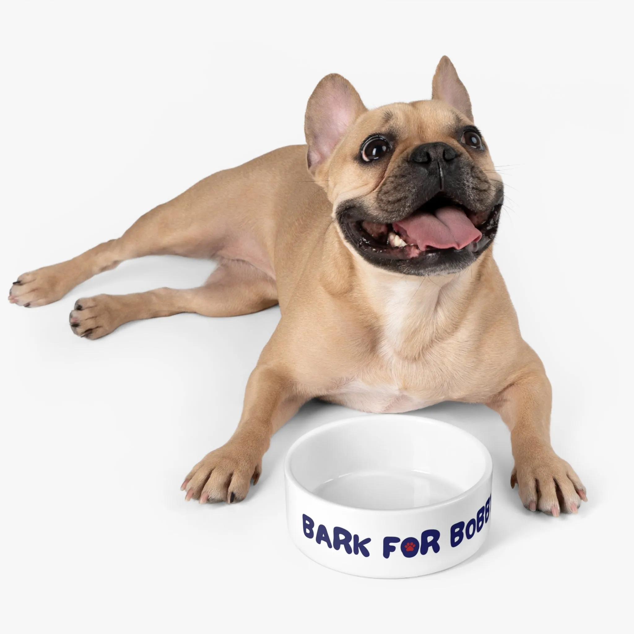 Bark for Bobby Pet Bowl