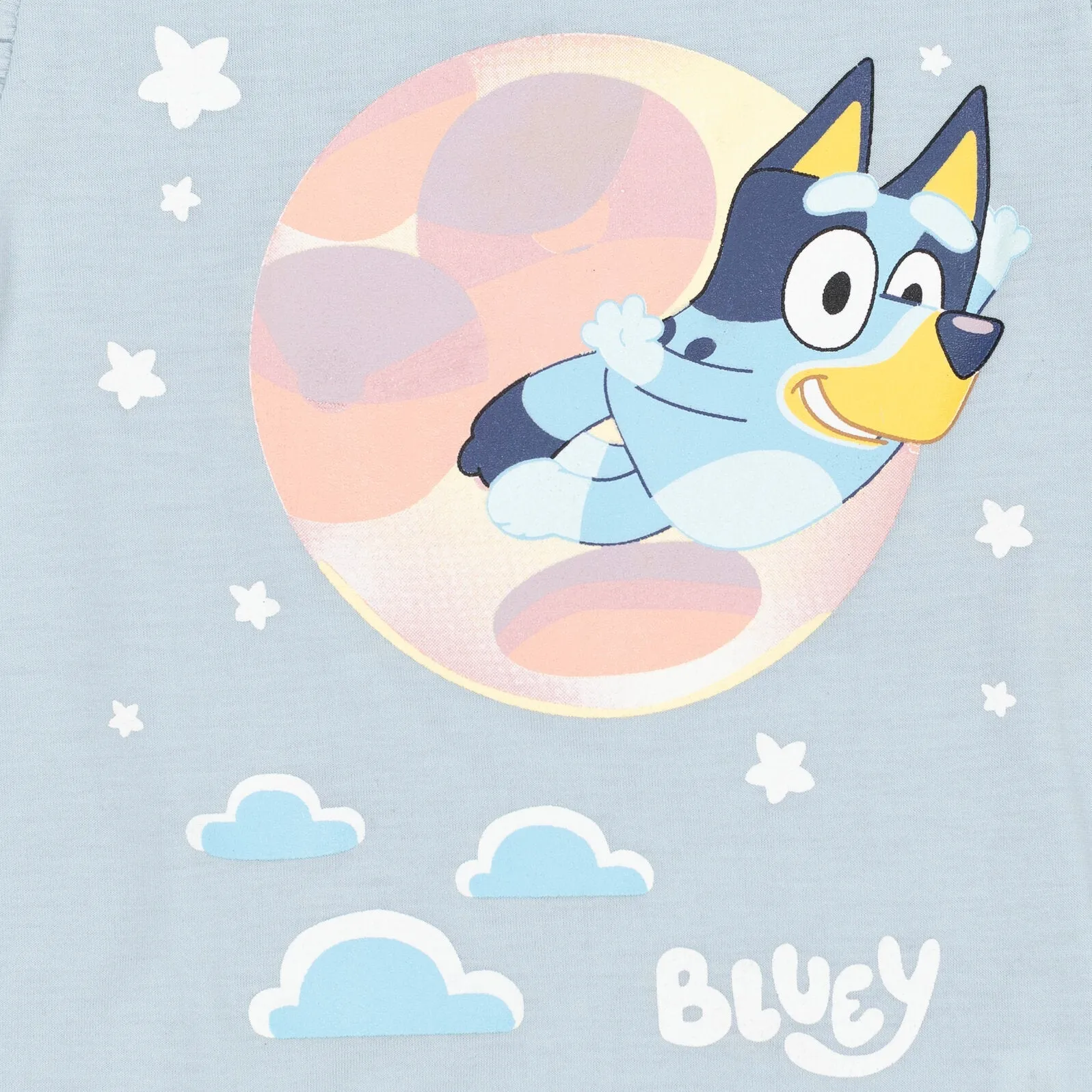 Bluey T-Shirt and French Terry Shorts Outfit Set