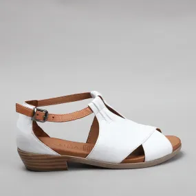 Digby - White/Tan